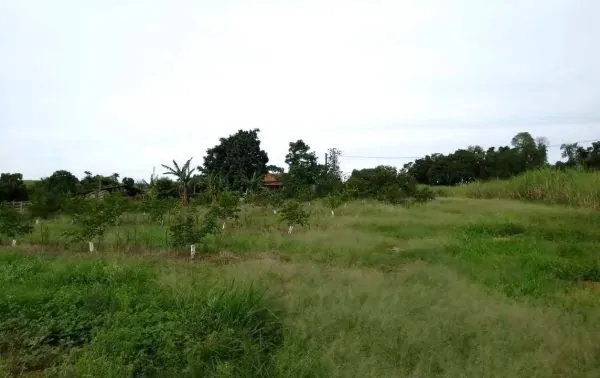 Basalto para Brita – Região de Campinas/SP – Brasil