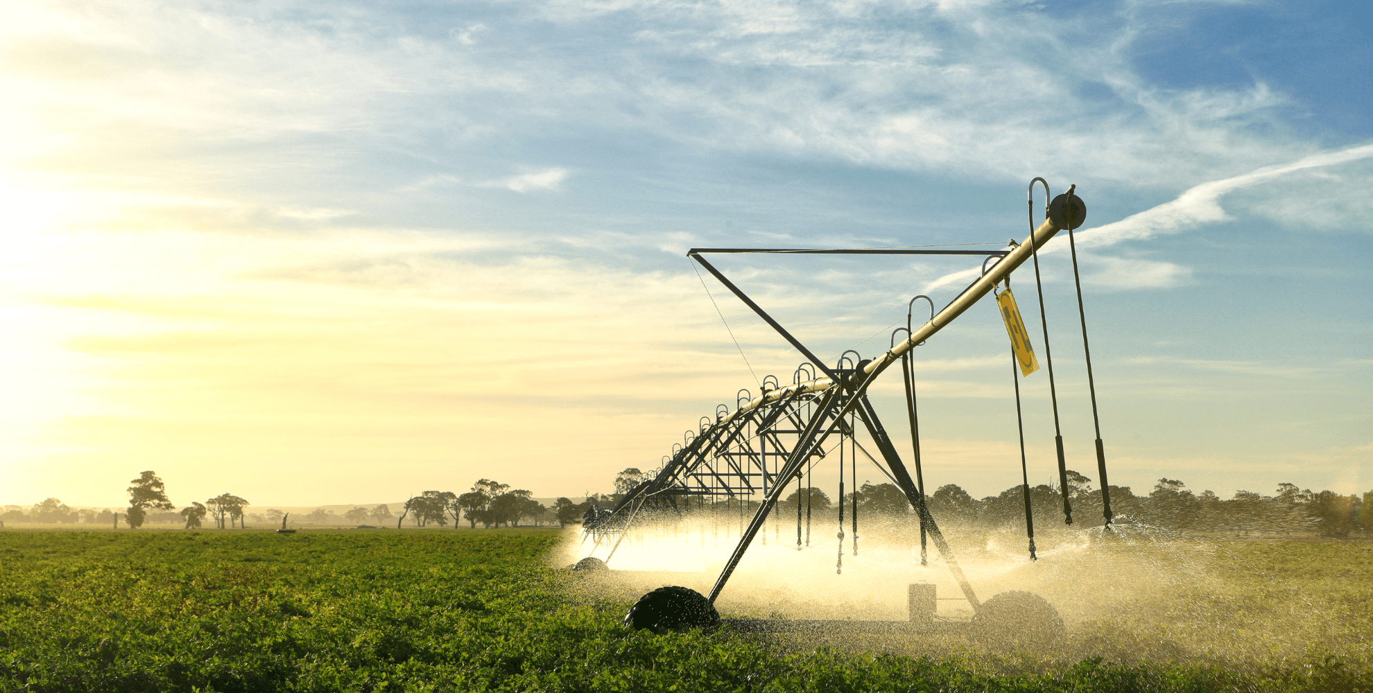 Fertirrigação Capa