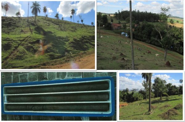 Basalto para Brita e Remineralização de Solo (Região Rib. Preto – SP – Brasil)