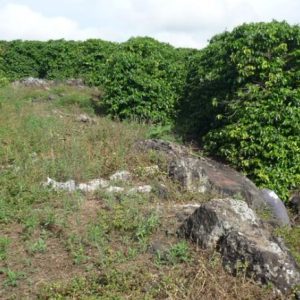 Manganês e Grafite – Jazida (MG – Brasil)