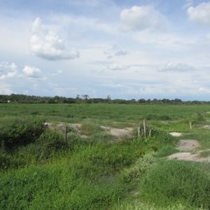 Argila Branca para Revestimento e Areia para Construção (SP – Brasil)