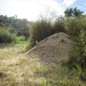 Mineração Areia Fina com Alto Teor de Sílica (Região Campinas – SP – Brasil)