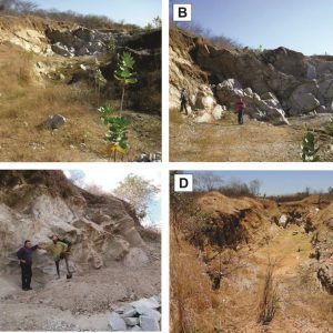 Calcário Dolomítico (Ceará – Brasil)