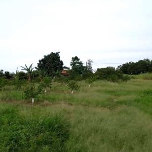 Basalto para brita (Região Campinas – SP – Brasil)