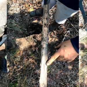 Argila “Ball Clay”, Areia Industrial e Turfa (SP – Brasil)
